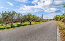 26 Brown Road, Morrill, ME 04952