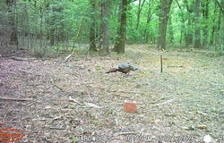 FM 1326, DeKalb, TX 75559