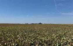 1 NC, Ness City, KS 67560