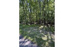 Paper Birch N, Tafton, PA 18464