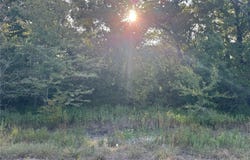 R and R Circle lot: 12, Kemp, TX 75143