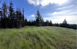 NW LODGE Rd, Banks, OR 97106