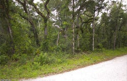 7466 Northwest Avenue, Webster, FL 33597