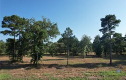 3145 Shadow Pine Drive, Larue, TX 75770