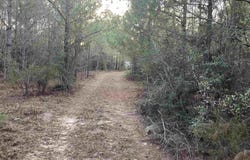 36581 Odom Rd, Dozier, AL 36028-9999