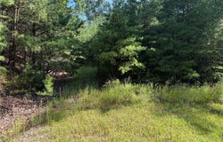 Wolf Pen Road lot: 24, Purlear, NC 28665