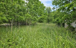 State Highway K, Everton, MO 65646