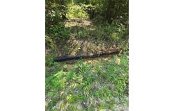 0001 County Road 421, Birch Tree, MO 65438