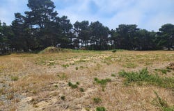 845 ROGERS Pl, Bandon, OR 97411