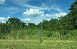 County Road 287, Marlin, TX 76661