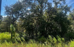 CRIDER Road, WEEKI WACHEE, FL 34614