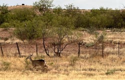 22 Lakesite Road, Spur, TX 79370