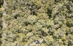 11TH ST, Volcano, HI 96785