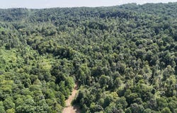 Silicon Drive, Philippi, WV 26416