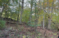 Overlook Dr, Slatyfork, WV 26291