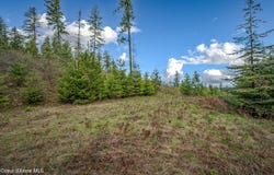 1025 Mountain Ridge Dr, Sagle, ID 83860