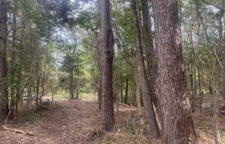 Jasper Ln, Summerton, SC 29418