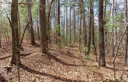E Hilltop Drive, Saluda, NC 28773