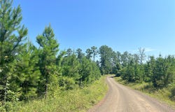 01 Carters Ferry Road, Hemphill, TX 75959