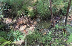 248 Ash Lane, Glade Valley, NC 28627