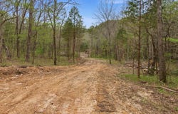 Tract3 W Highway 32, Licking, MO 65542