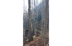Red Hawk Bluff lot: 16, Dillsboro, NC 28725