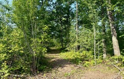 2 County Road T, Danbury, WI 54830
