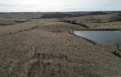 Rose Avenue, Menlo, IA 50166