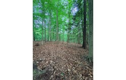 Ledgeview Dr, FAYETTEVILLE, WV 25840