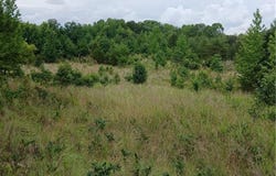 1133 Springfield Road, High Point, NC 27263
