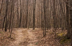 Polk Road 615, Mena, AR 71953