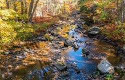 Lupine Road lot: 2, Belfast, ME 04915