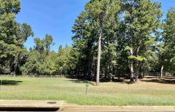 Easy St lot: 7, Frankston, TX 75763