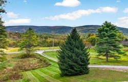 2920 US-7, Wallingford, VT 05773
