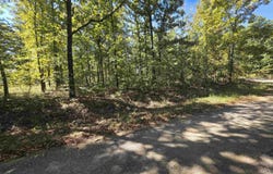 L-1 B-11 Eagle Pass, Ozark Acres, AR 72482