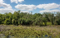 KENYON Drive, WEBSTER, FL 33597
