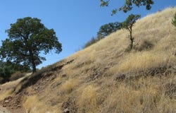 12414 Mountain View Drive, Clearlake Oaks, CA 95423