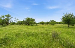 FM 880, Moran, TX 76464