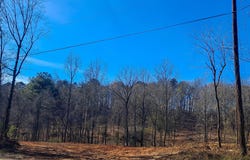 PAUL BOLTON Rd, Parrish, AL 35580