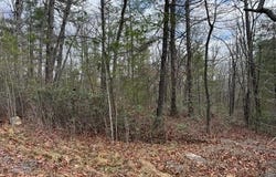 FETTERBUSH LN lot: 45, HINTON, VA 22831