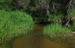 Woolard Rd, Colbert, WA 99005