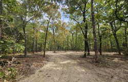 County Road 519, Hardenville, MO 65666