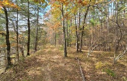 TBD #2 Big Cedar Oklahoma, Big Cedar, OK 74939