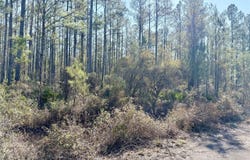 18 Satilla Plantation, Waynesville, GA 31566