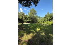 1529 CHEATHAM Rd, Carbon Hill, AL 35549
