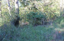 Dogwood Drive, Stover, MO 65078