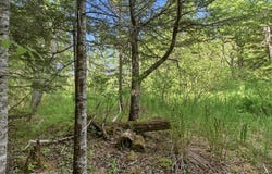 Sunrise Way lot: #10, Whiting, ME 04691