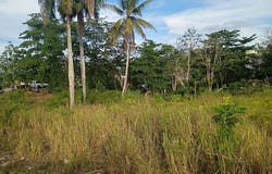 Barahona, Morovis, PR 00687