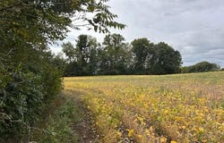 Melody Street, Braham, MN 55006