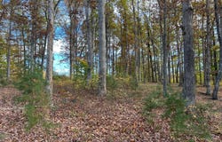 LOT 9 RAINBOW RIDGE, BUMPASS, VA 23024
